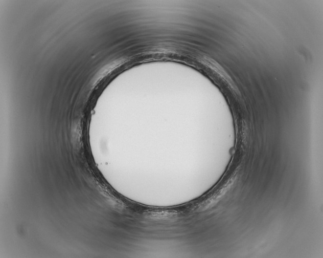 X0000111500826200908111244