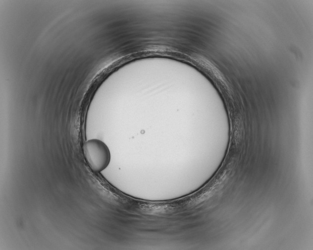 X0000111500831200908111244