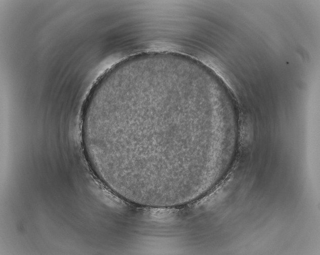 X0000111500832200908111244