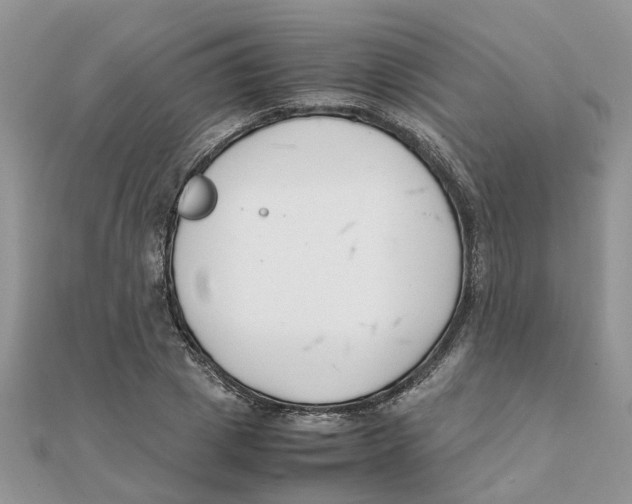 X0000111500833200908111244