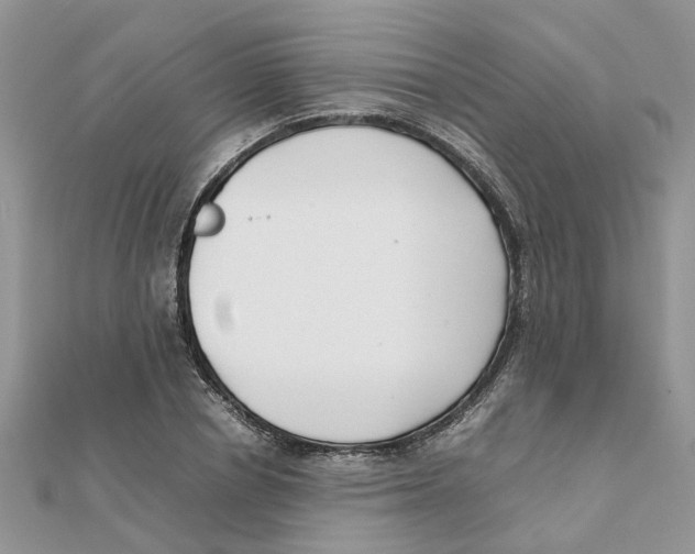 X0000111500834200908111244