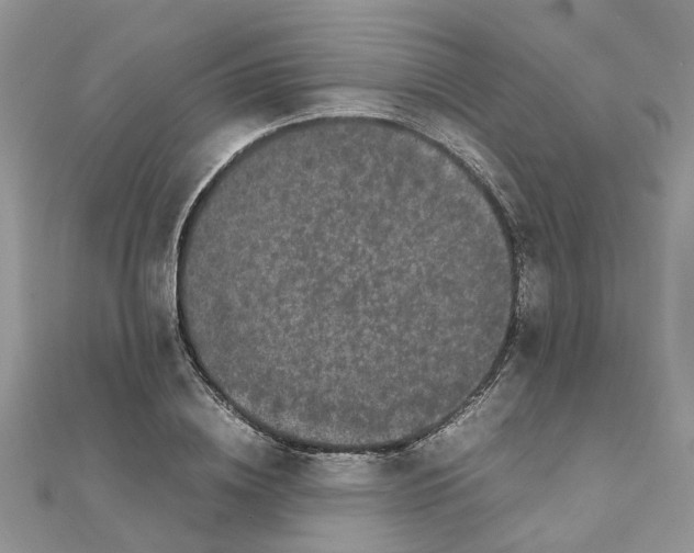 X0000111500836200908111244