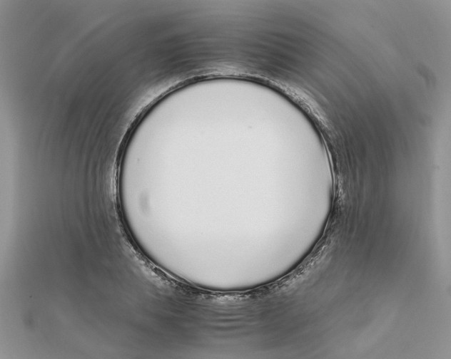 X0000111500839200908111245