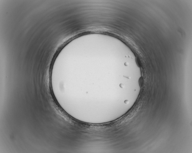 X0000111500840200908111245