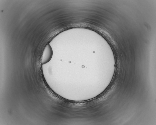 X0000111500841200908111245