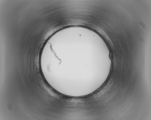 X0000111500842200908111245