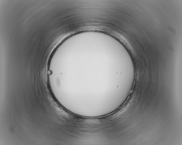 X0000111500844200908111245