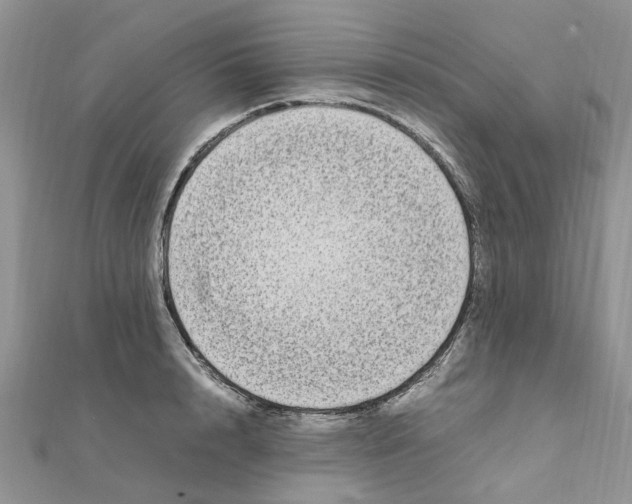 X0000111500848200908111245