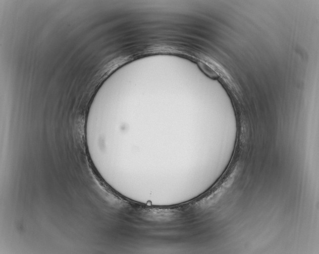 X0000111500849200908111245