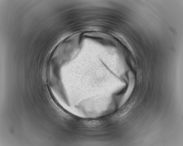 X0000111500851200908111245