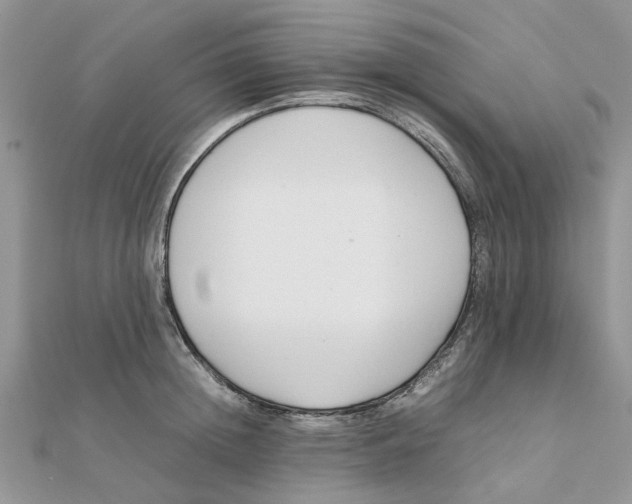 X0000111500852200908111245