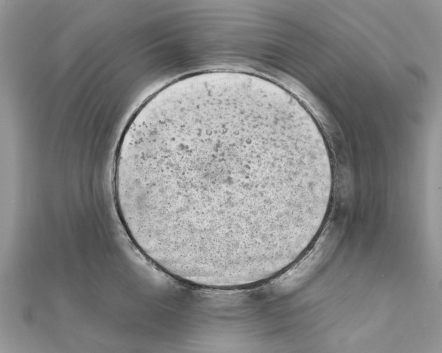 X0000111500856200908111245