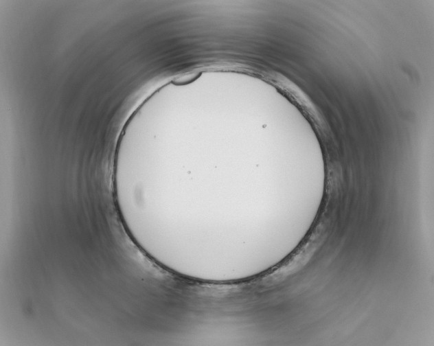 X0000111500860200908111245