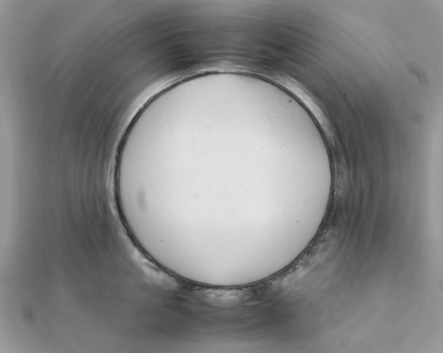 X0000111500861200908111245