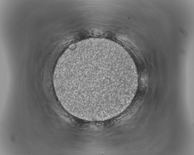 X0000111500865200908111244