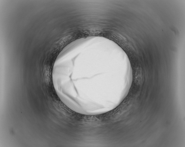 X0000111500866200908111244