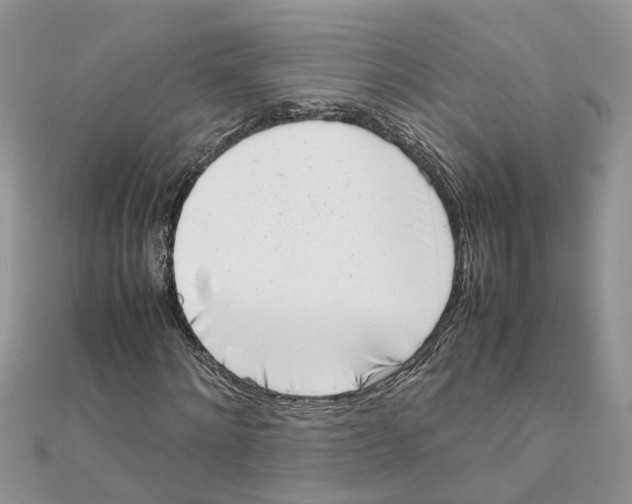 X0000111500868200908111244