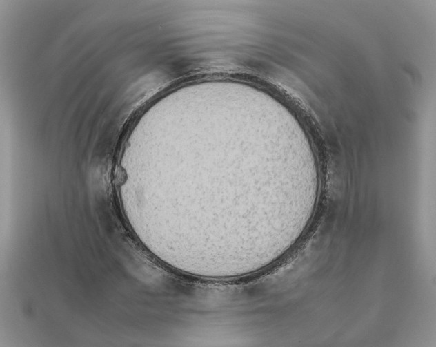 X0000111500873200908111244