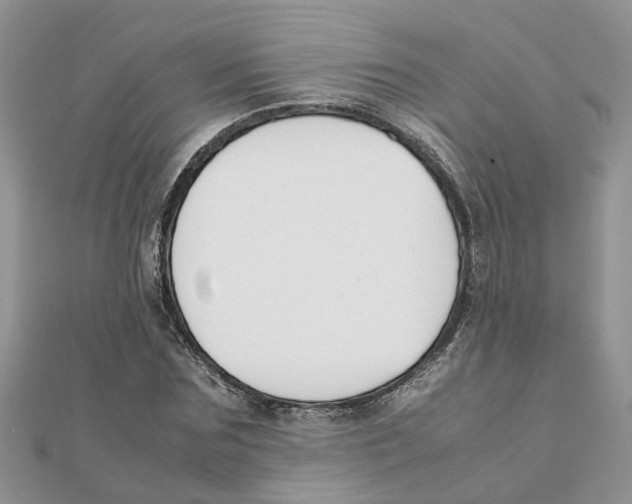 X0000111500875200908111244