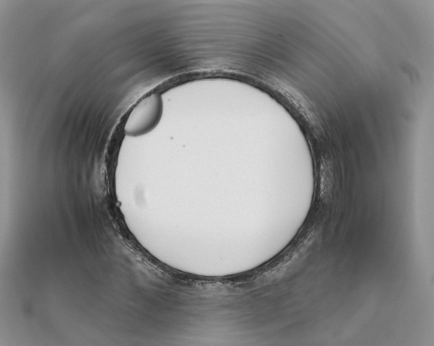 X0000111500876200908111244