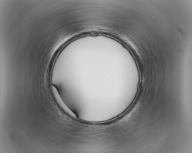 X0000111500877200908111244