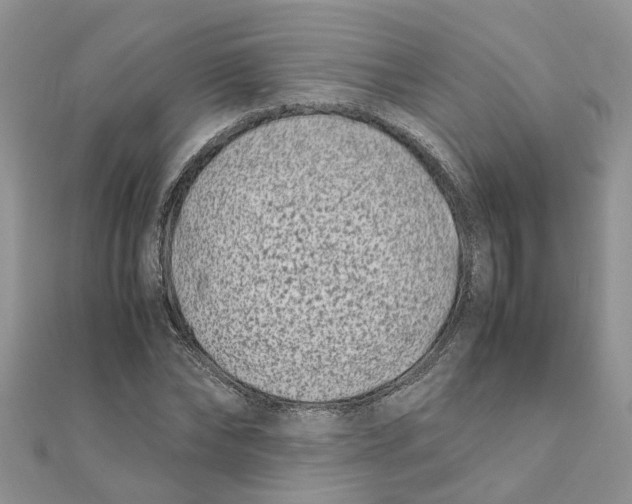 X0000111500878200908111244