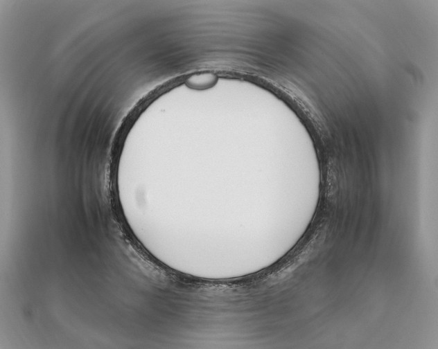 X0000111500880200908111244