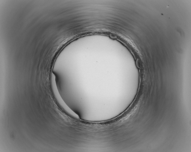 X0000111500881200908111244