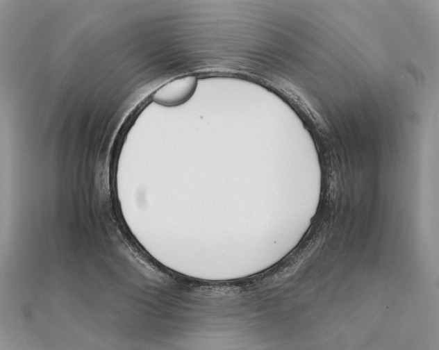 X0000111500884200908111244