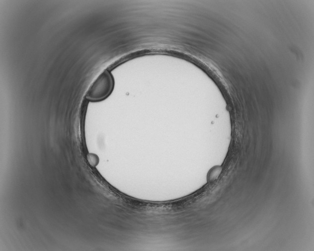 X0000111500887200908111244