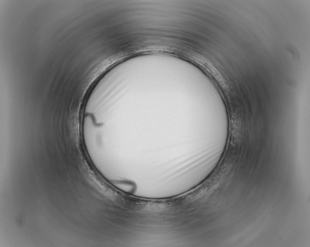 X0000111500890200908111244