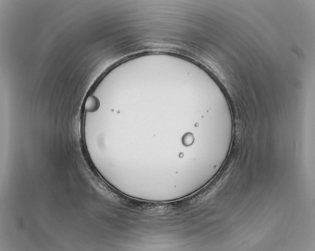 X0000111500891200908111244