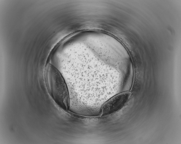 X0000111500893200908111244