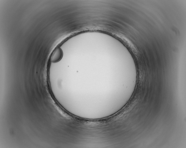 X0000111500894200908111244