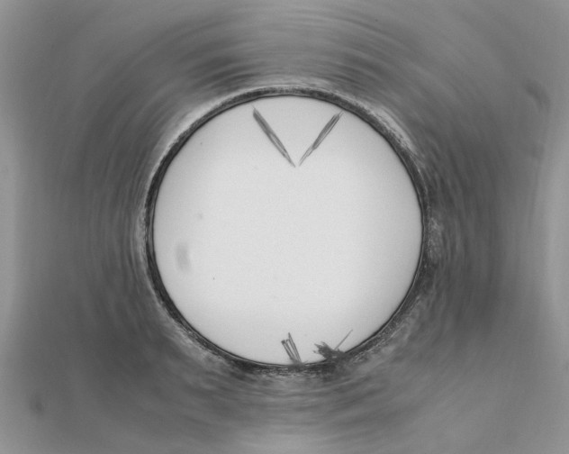 X0000111500895200908111244