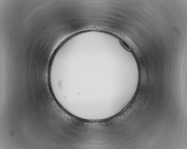 X0000111500896200908111244