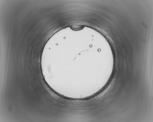 X0000111500897200908111244