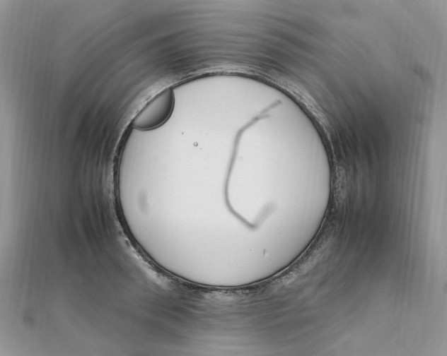 X0000111500898200908111244