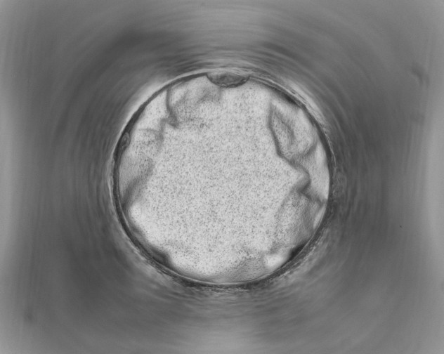 X0000111500899200908111244