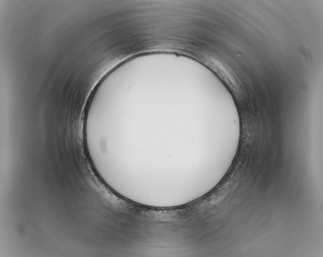 X0000111500900200908111244