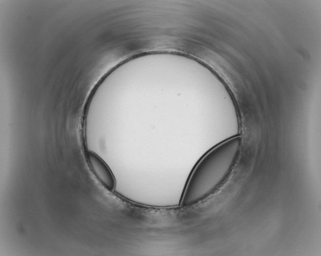 X0000111500901200908111244