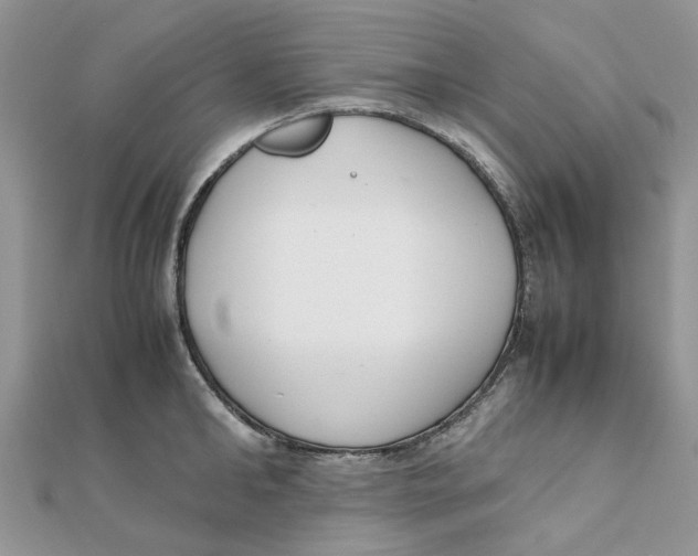 X0000111500902200908111244