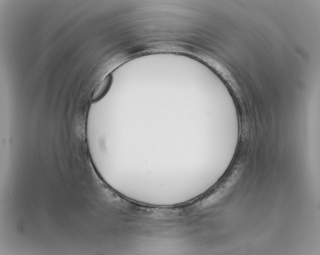 X0000111500905200908111244