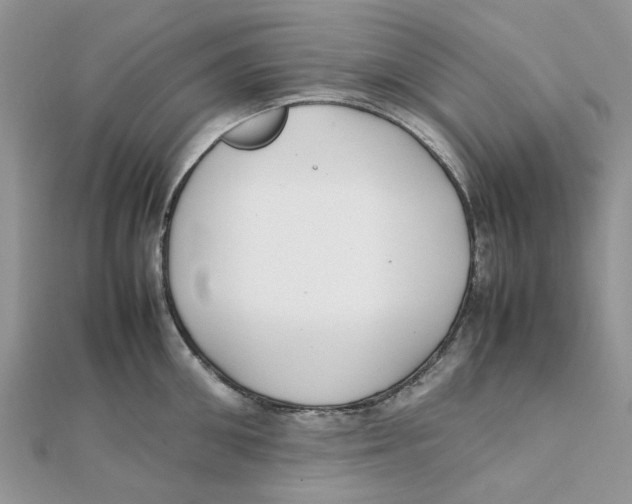 X0000111500906200908111244