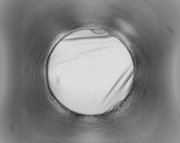 X0000111500907200908111244