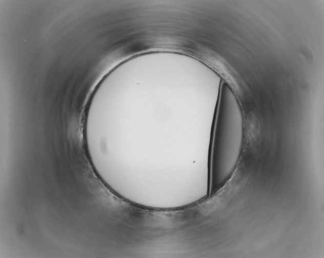 X0000111500908200908111244