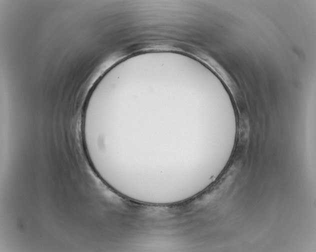 X0000111500909200908111244