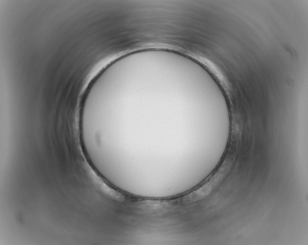 X0000111500910200908111244