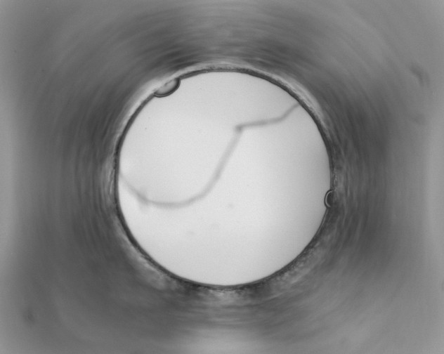 X0000111500911200908111244