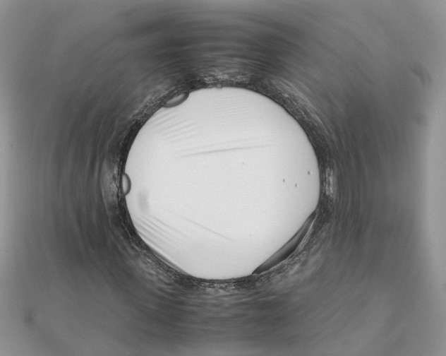 X0000111500915200908111243